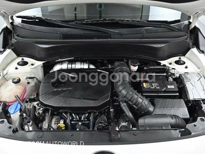 @21년식 셀토스 1.6 가솔린 2WD 트렌디 전국최--5