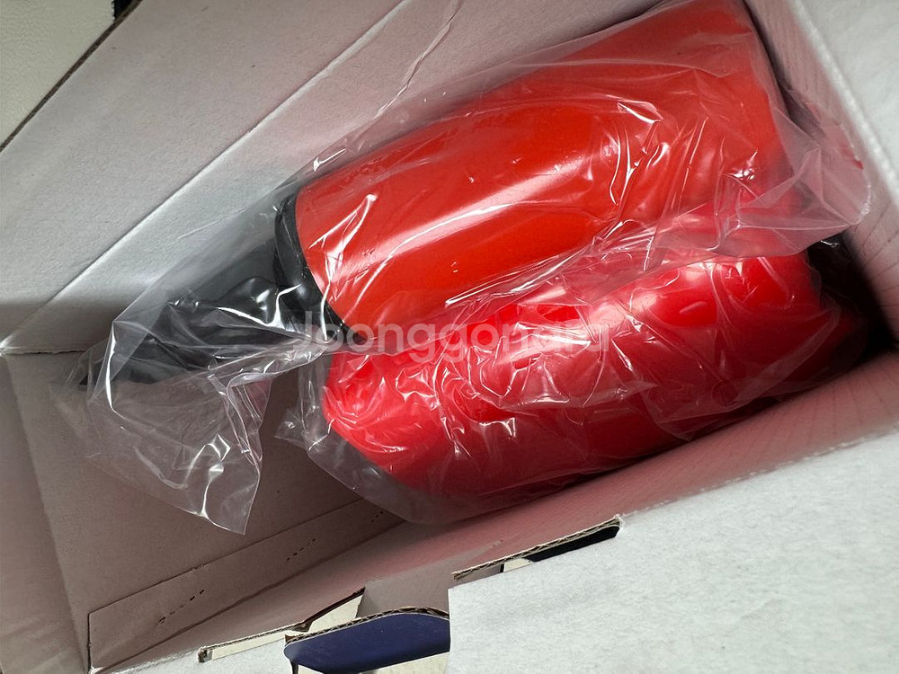 루니툰즈 짐볼 새제품 55cm + 펌프--2