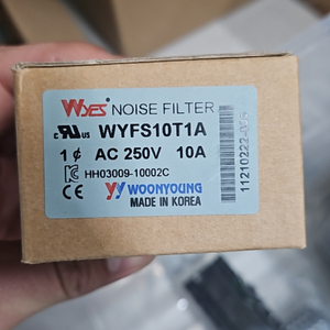 WYFS10T1A