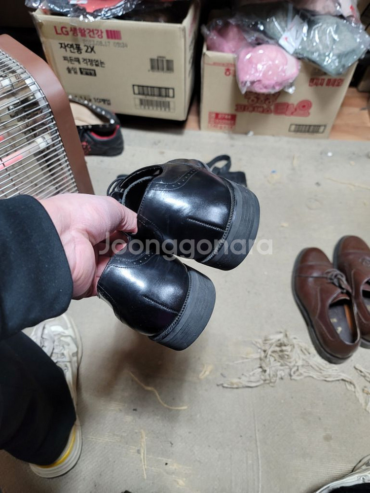 탠디구두 255--2