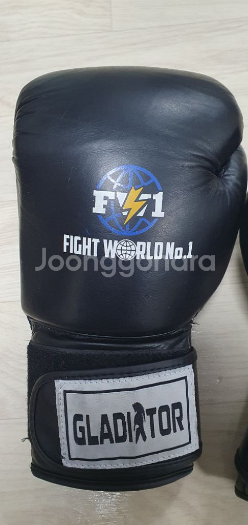 FW1 신종훈파이트월드 복싱글러브 14온스--1