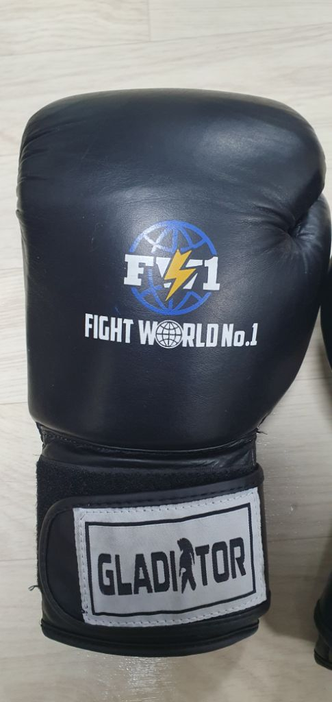 FW1 신종훈파이트월드 복싱글러브 14온스 이미지