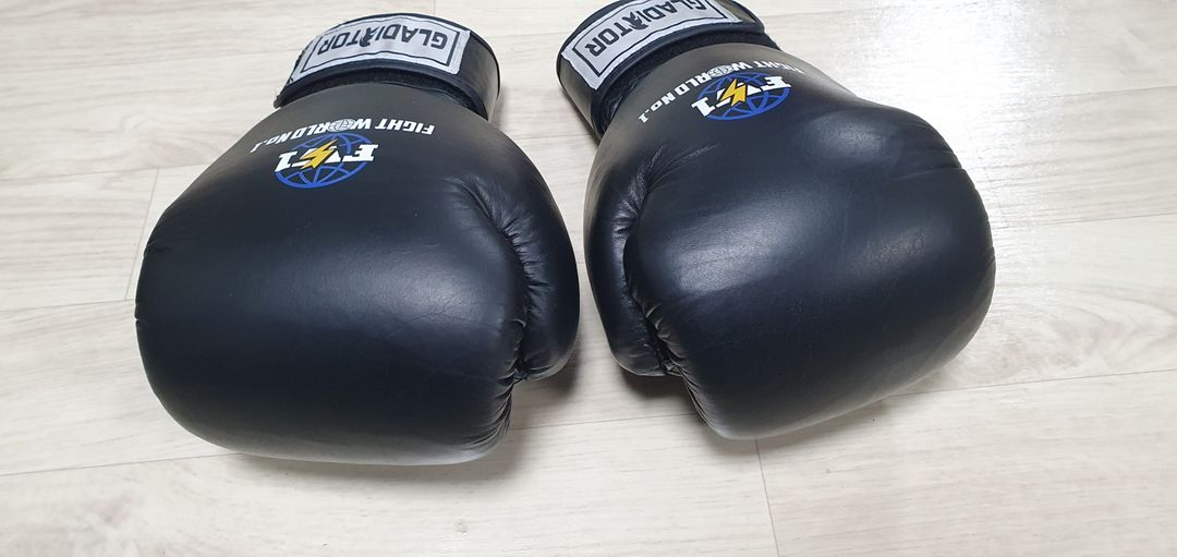FW1 신종훈파이트월드 복싱글러브 14온스 이미지