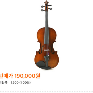 바이올린