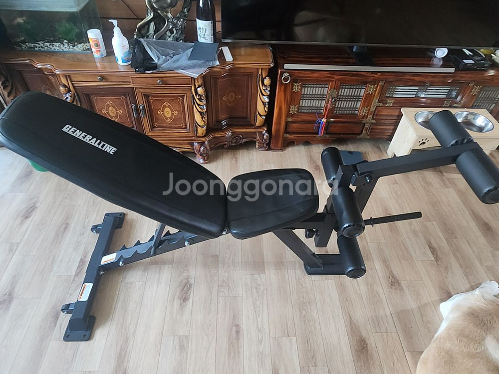 홈짐 제너럴라인 인클라인벤치 하체 옵션 포함--0