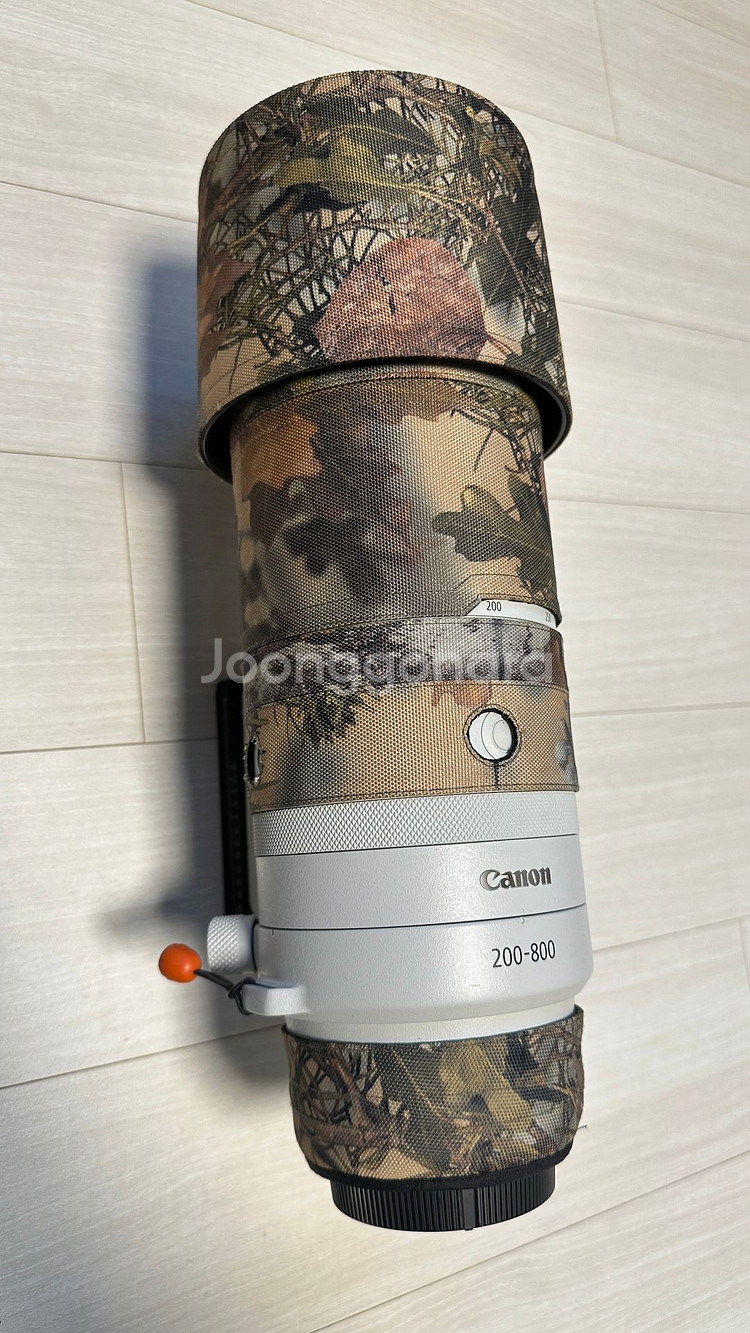 캐논EOS R6mark2, RF200-800mm--1
