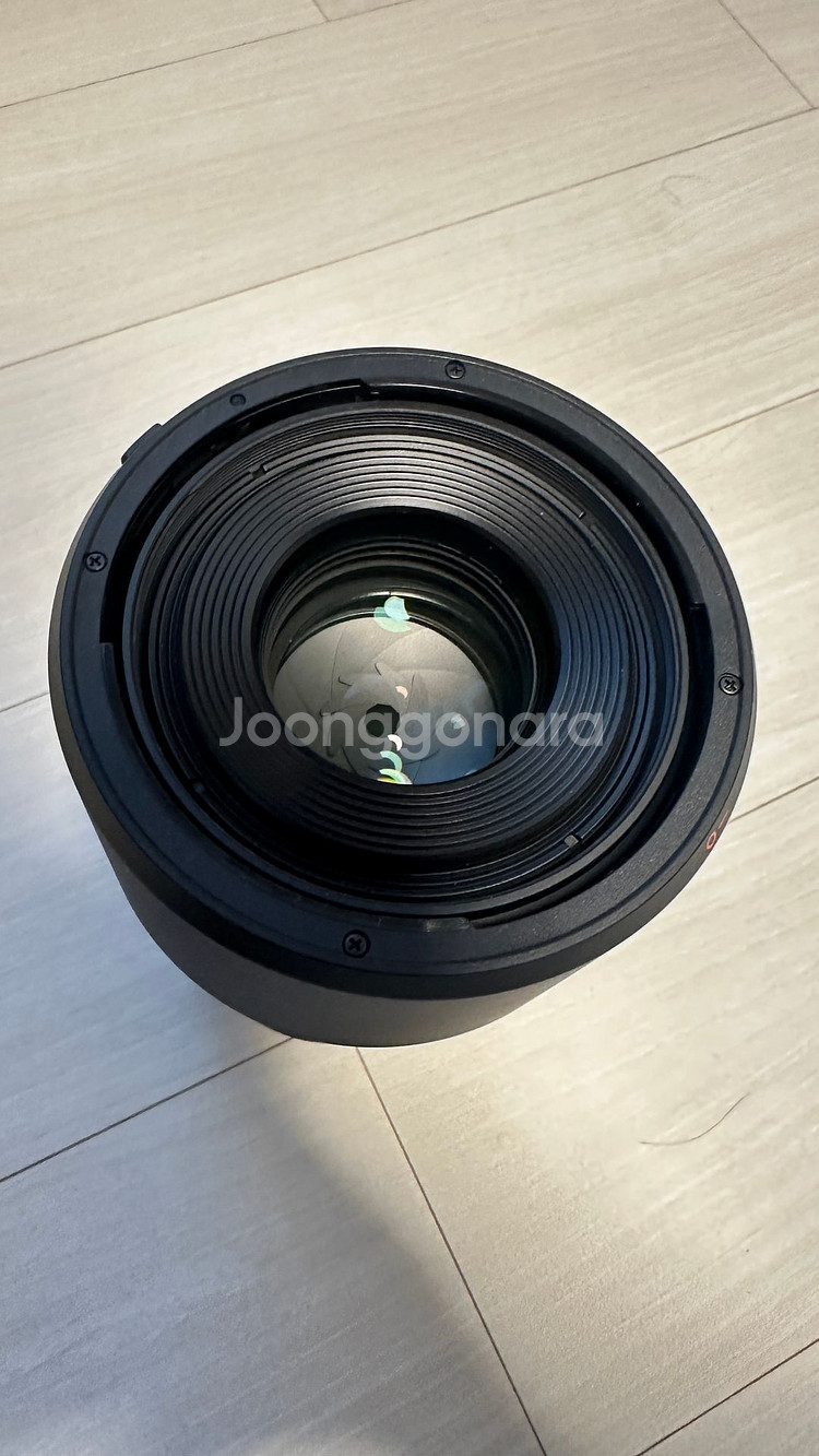 캐논EOS R6mark2, RF200-800mm--2