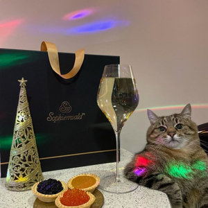 예약 상품입니다!