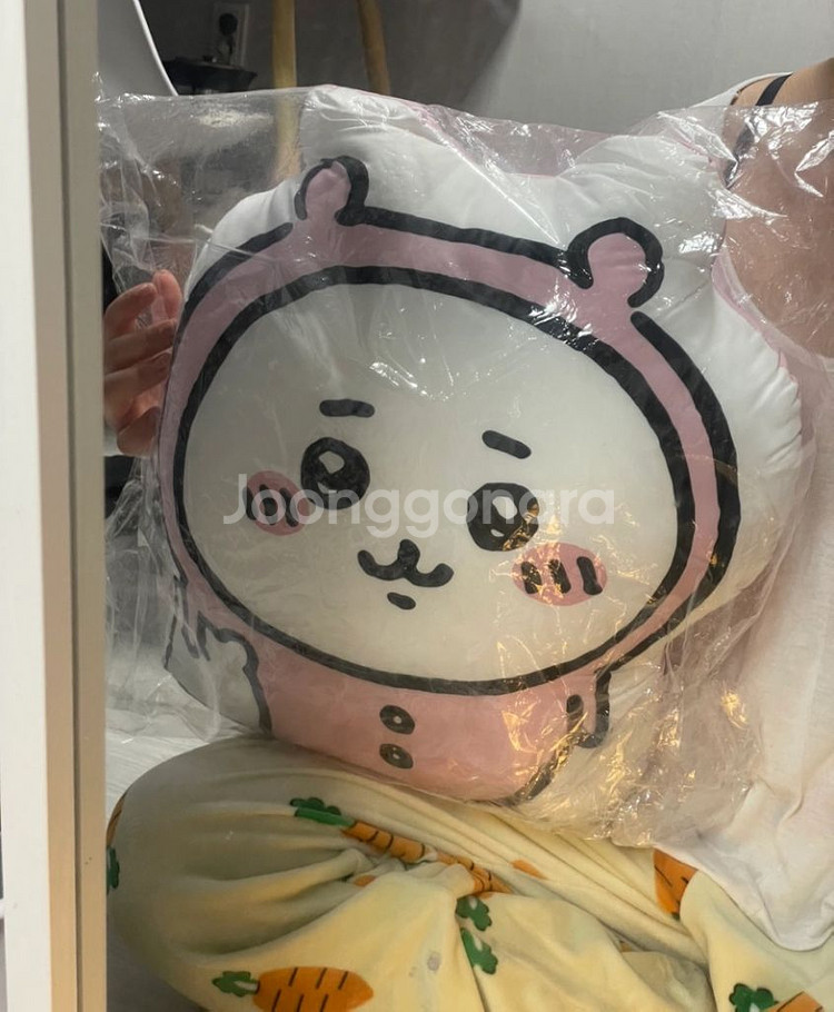 치이카와 쿠션--0