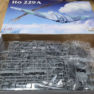 [대구] Takom 1/32 Ho229 A