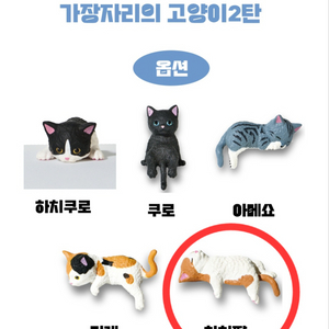 가장자리의 고양이 2탄_ 하치쨩