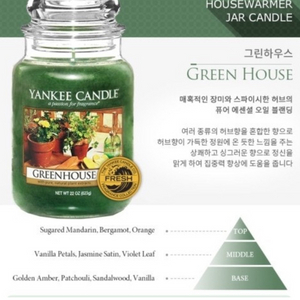 단종된 양키캔들 그린하우스 싸게팔아요 +사은품