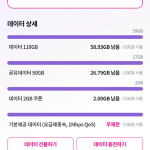 lg데이터 2gb