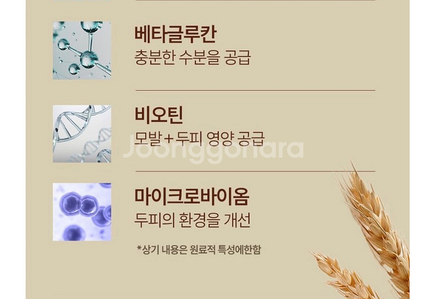 홈쇼핑 맥주효모 탈모예방 샴푸--6
