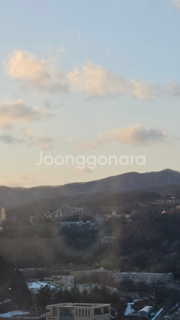 대구마라톤대회 하프코스 양도합니다.--0