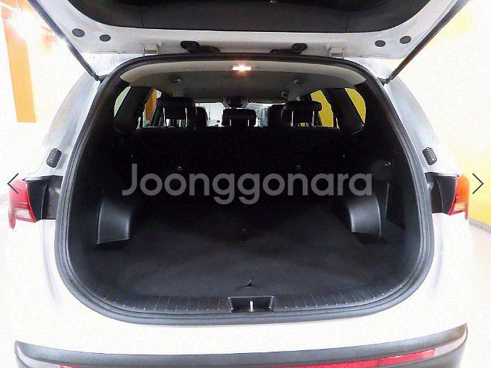 @20년식 더 뉴싼타페 디젤 2.2 AWD 프리미엄--4