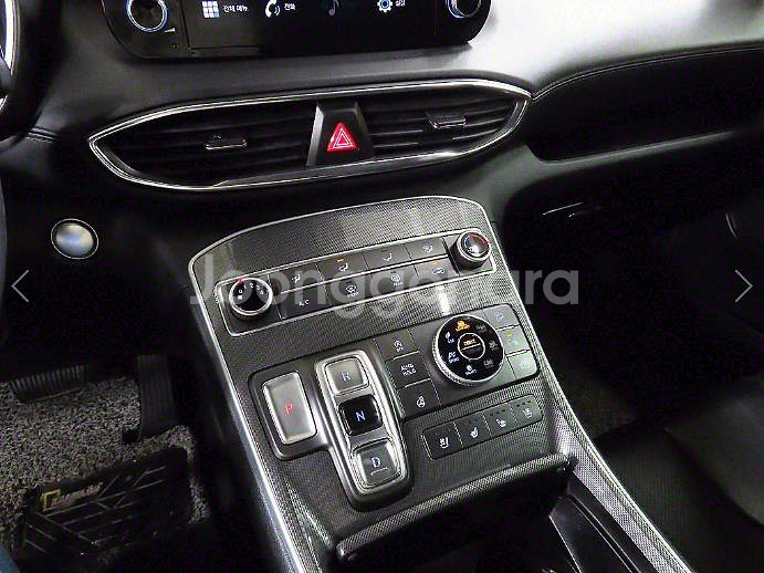 @20년식 더 뉴싼타페 디젤 2.2 AWD 프리미엄--9