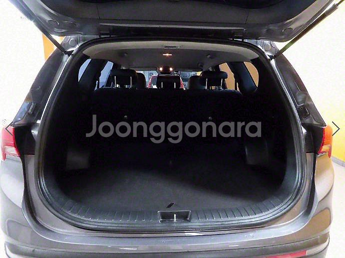 @21년식 더 뉴싼타페 디젤 2.2 AWD 프리미엄--4