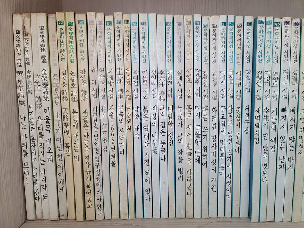 시집500권 창비 민음 실천 세계사 청하 문학동네 문지--9