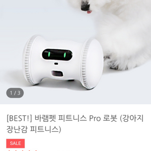 바램펫 피트니스 pro