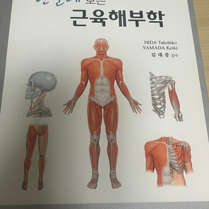 한눈에 보는 근육해부학