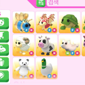 입양하세요 거북이 팔아요