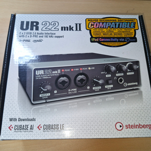 스테인버그 UR22mkII 오디오 인터페이스