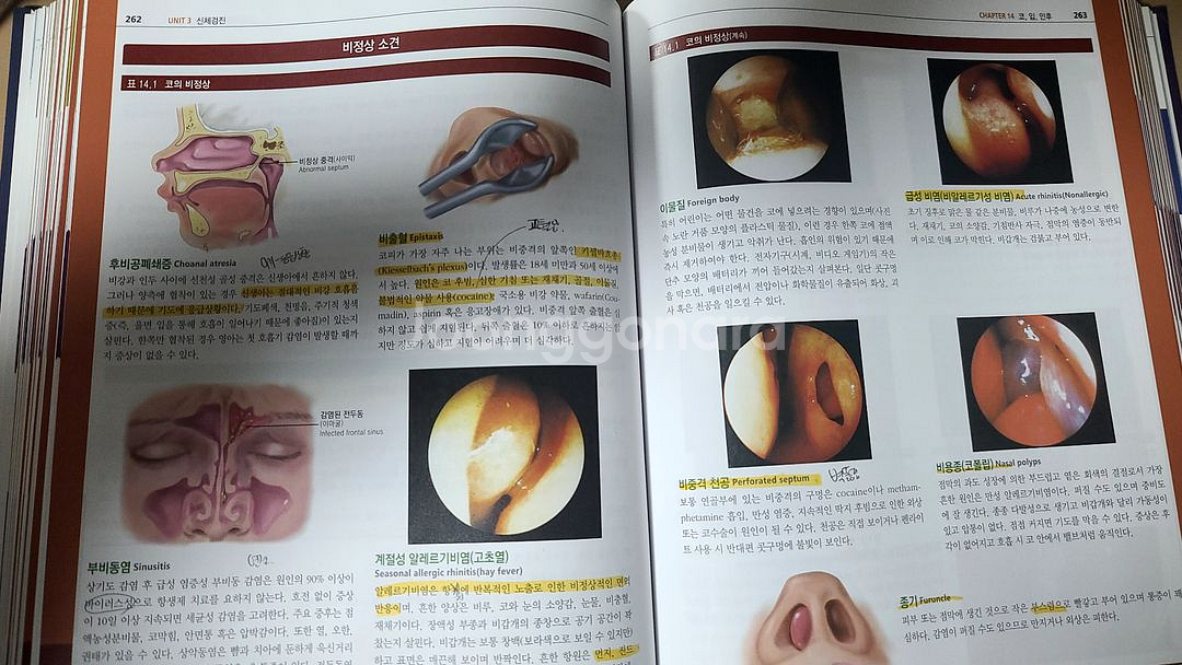 학사메디컬 건강사정 8판--1