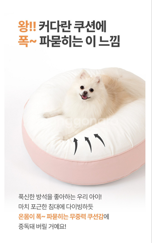 반려동물 마카롱 방석--1