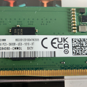 삼성전자 DDR5 5600 8기가*2 = 16기가