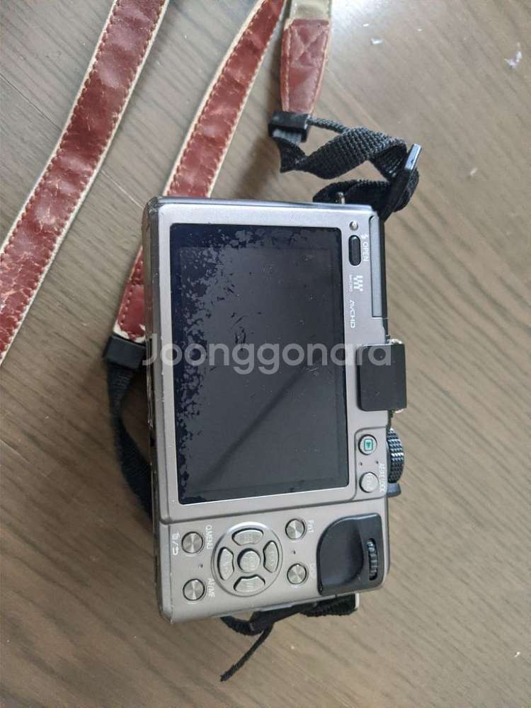 파나소닉 루믹스 GX1 카메라--3