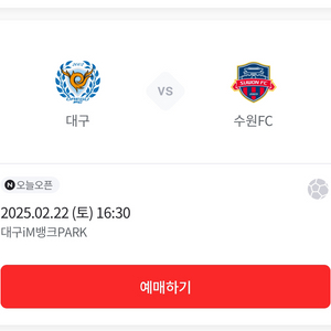 대구fc 2/22 수원전 s1구역 두장