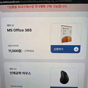 ms office 365 1년권