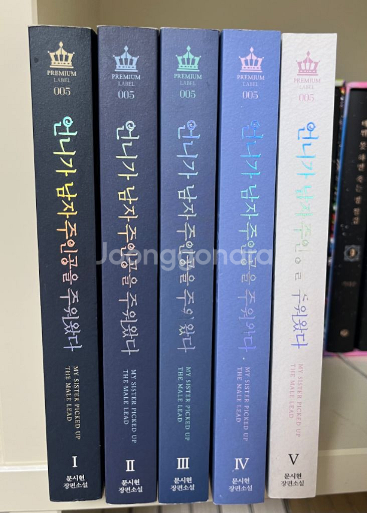 언니가 남자주인공을 주워왔다 로판 웹소설 단행본 로맨스--0