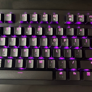 레이저 헌츠맨v3 pro tkl kr