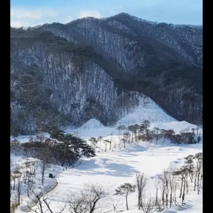 오크밸리 스키장 2인 리프트권 복합권 2매 판매합니다.