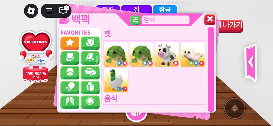 입양하세요 거북이 판매--0