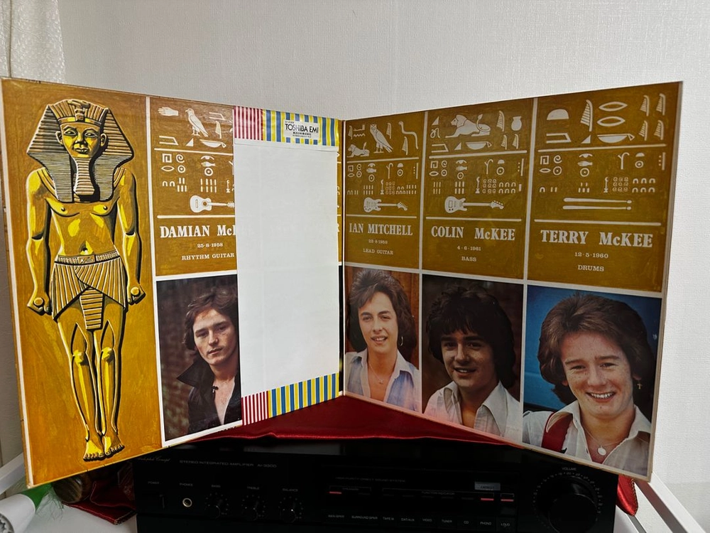 Rosetta Stone-Rock Pictures LP 이미지