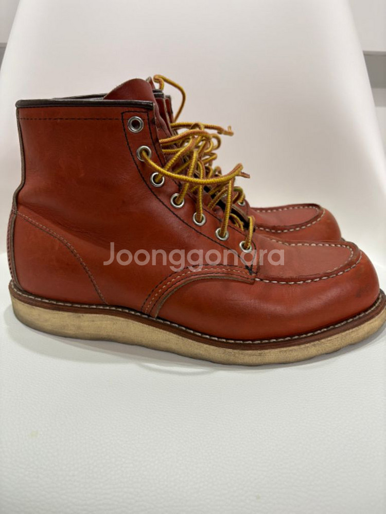 레드윙 목토 8131 260D--4