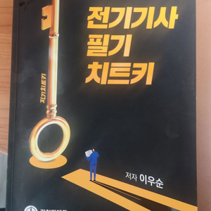 전기치트키 팝니다.