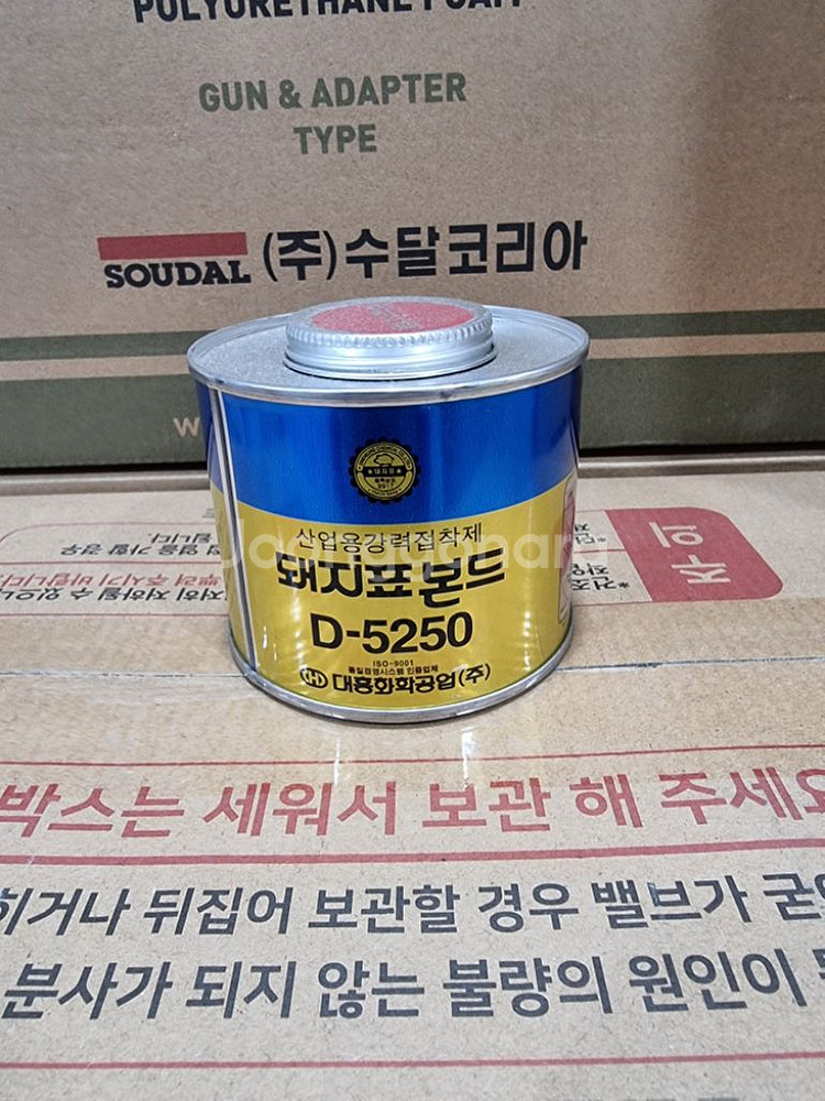 썬유통 자양동 노룬산시장 D-5250 돼지표본드 판매--3