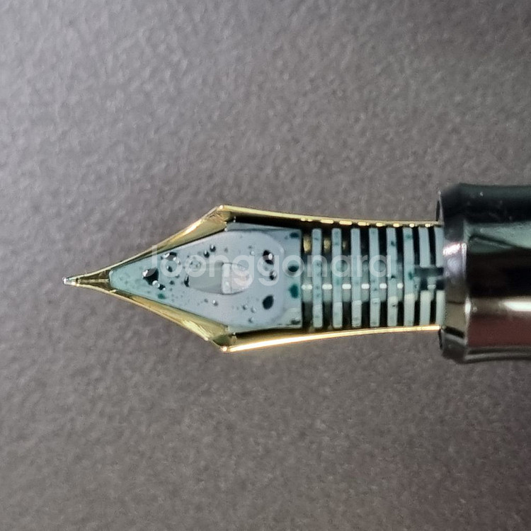 파이롯트 커스텀 845 F nib 만년필--4