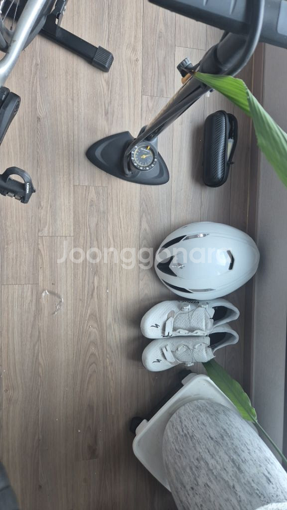 스페셜라이즈드 루베 스포츠 56 22년식--2