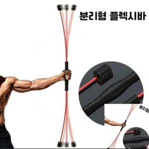 플렉시바