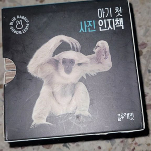 블루래빗 인지 동물책입니다