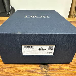 Dior B28 Hiking Shoe Mesh