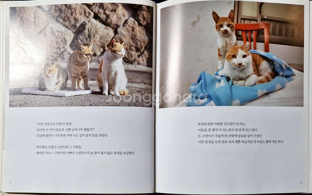 서적(고양이/3권)--4