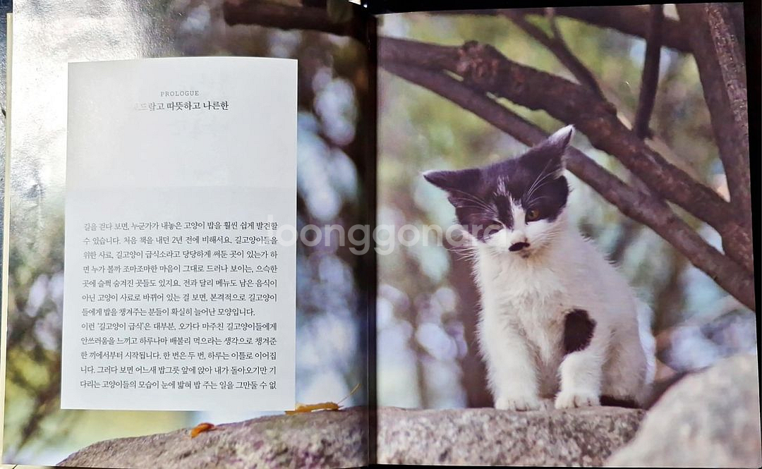 서적(고양이/3권)--3