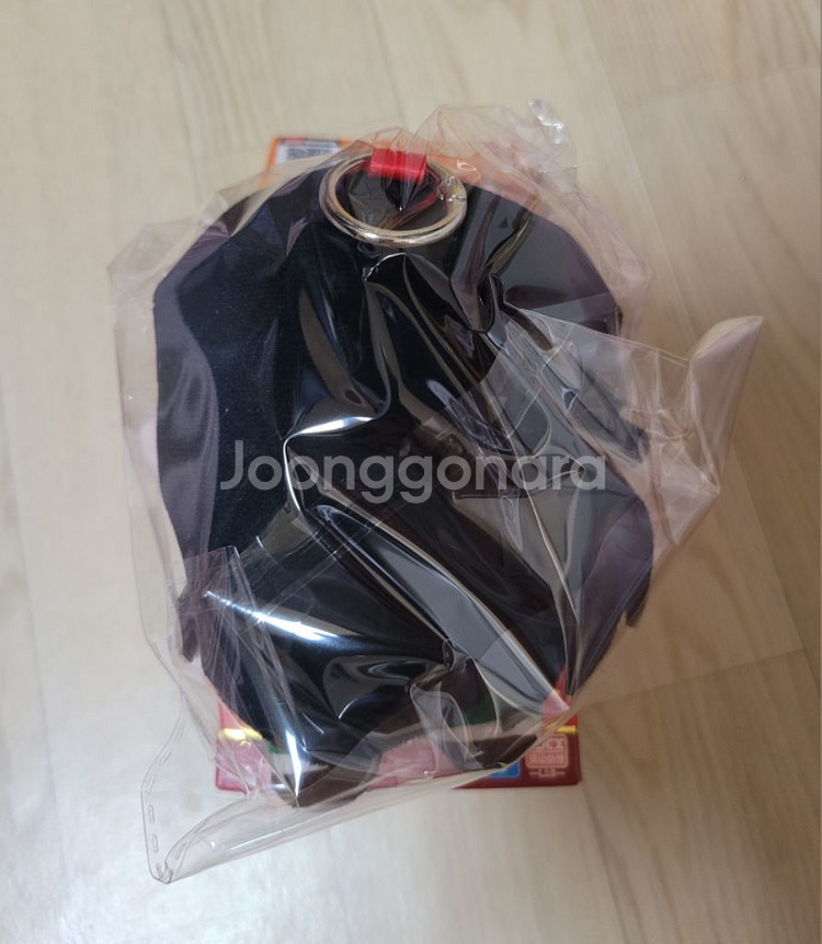 이누야샤 가영 누이--3