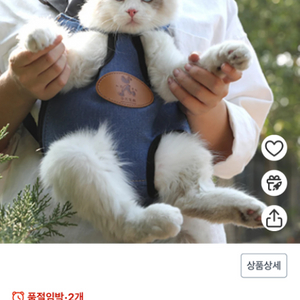 고양이 이동